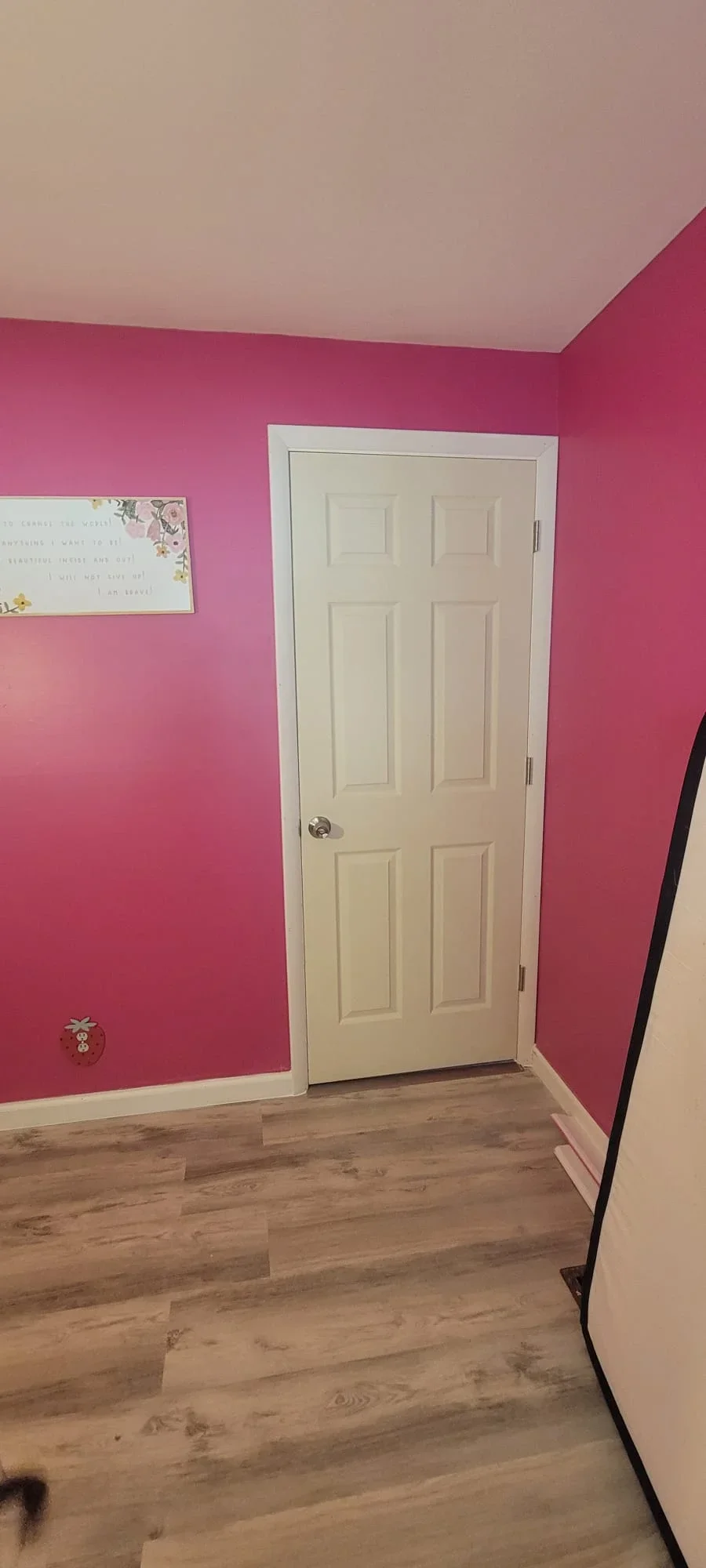 Hot pink painted bedroom walls with white six-panel door, white ceiling, and laminate flooring